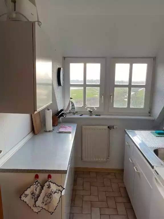 Schmale Küche mit Einbauküche