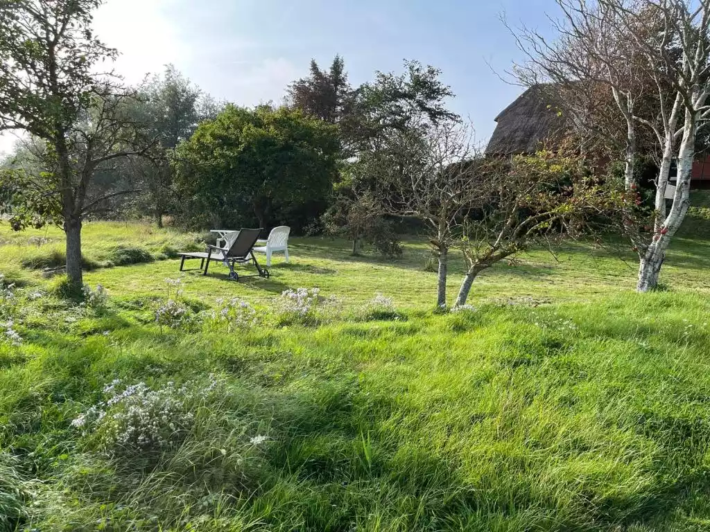Garten mit Wiese, Baumbestand und Gartenmöbeln zur Erholung